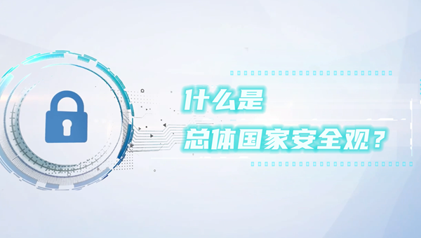什么是总体国家安全观？